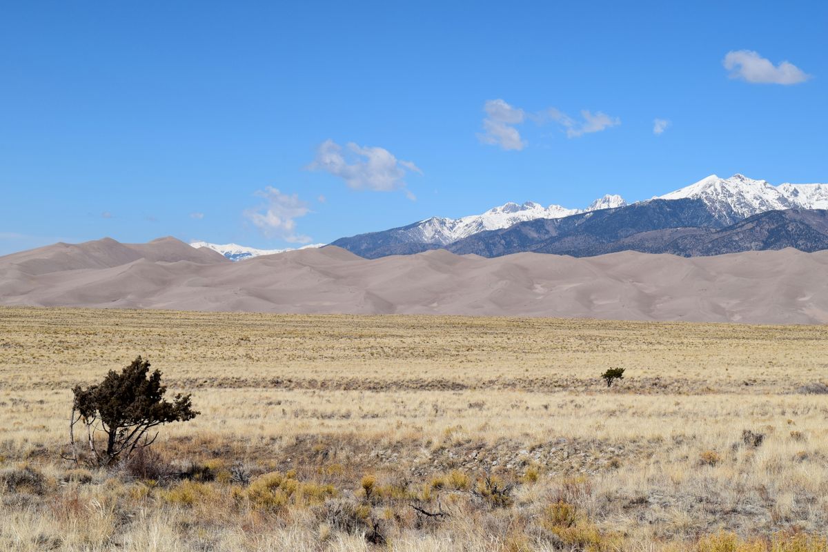 Sweeping dunes under open sky at Great Sand Dunes, Colorado